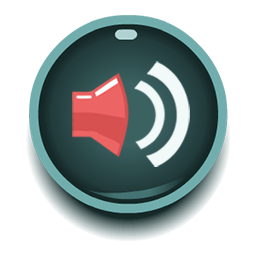 The Sound button